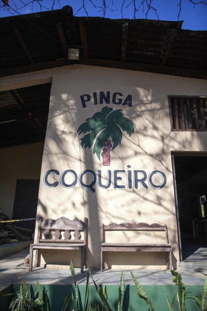 Coqueiro Pinga
